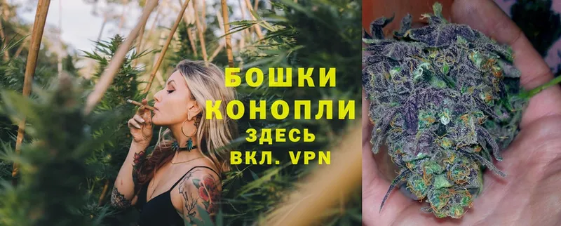 Конопля White Widow  hydra маркетплейс  Кыштым  где можно купить  